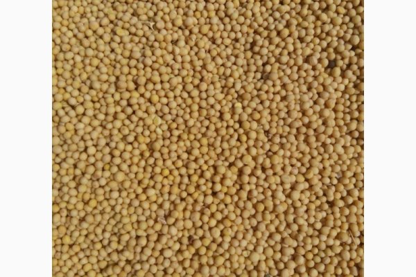 Как купить наркотик в кракен