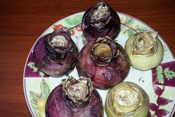 Кракен даркнет маркет ссылка на сайт тор