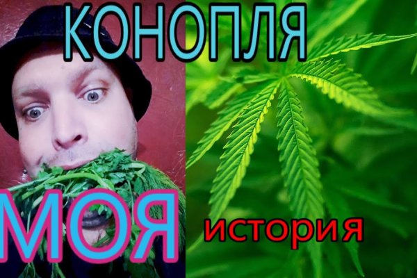 Где брать ссылки на кракен